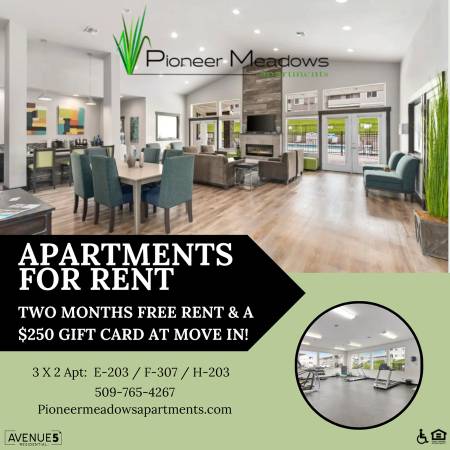 Efficient Appliances, Fresh Carpeting, A Must See, Recreation Room 1