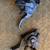 SHIMANO XTR 3x9 speed shifters and Brake levers 2 thumbnail
