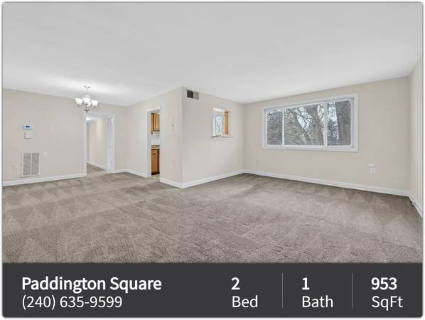 Spacious affordable 953 sq ft, 2 bed, 1 bath for rent in Silver Spring 1