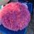 Pottery Barn Fuzzy Bean Bag Chair 2 thumbnail