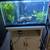 30 gallon fish tank 1 thumbnail