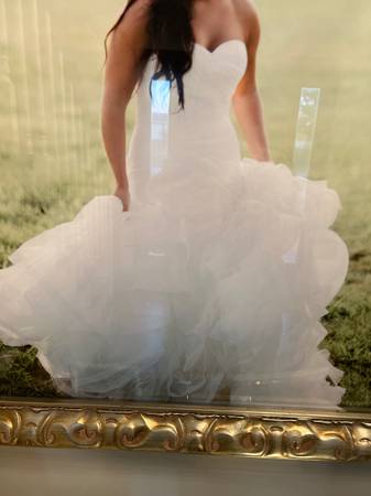 Wedding gown and veil 1