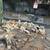 R&J Mess Express Junk removal services 10 thumbnail