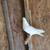 Iranian High Flyer Pigeons for Sale 9 thumbnail