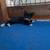 Cat/kittens 2 thumbnail