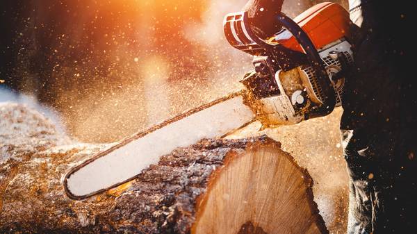 TREE SERVICE & EMERGENCY STORM DAMAGE - AFFORDABLE (850) 498-7727 1