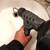 PLUMBING * PLUMBER * PLOMERO * PLOMERIA * DRAIN CLEANING 7 thumbnail