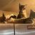 Rehoming kittens 5 thumbnail