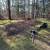 Fall Clean-up Landscaping services ~over seeding & more 3 thumbnail