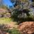 7.6 Acre Lot Just South of Skyline High 2 thumbnail