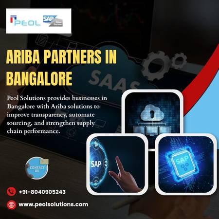 Ariba Partners in Bangalore | Peol Solutions 1