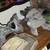Bearded dragon tank 4 thumbnail