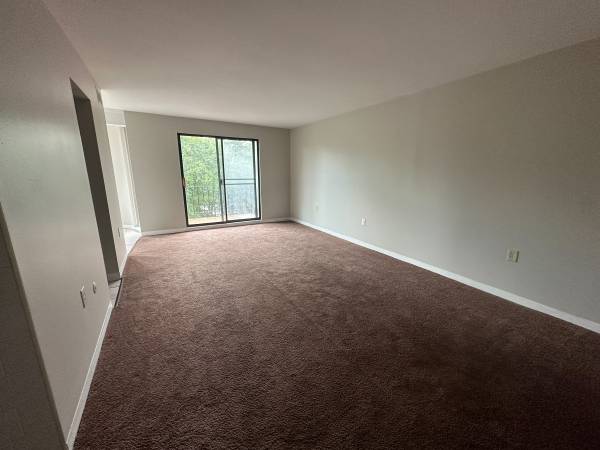 $1,089 / 2br - ¡ACTUALIZADO y LISTO para TI! (Castle Shannon)63664545203971120