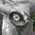 Vintage Venus with Urn Piped Fountain Feature Statue 46" 5 thumbnail