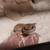 Leopard gecko 1 thumbnail