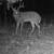 16.73 +/- surveyed acres in Wright County 23 thumbnail