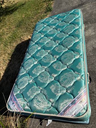 Twin Bed Twin Mattress - Can Deliver 1