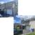 House Painting 7 thumbnail