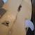M10 PU pintail surfboard 6'5" 1 thumbnail
