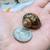 Land Snails and Starter kit Garden and Roman 14 thumbnail