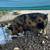 Kune kune pigs 2 thumbnail
