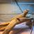 Bearded dragons 1 thumbnail