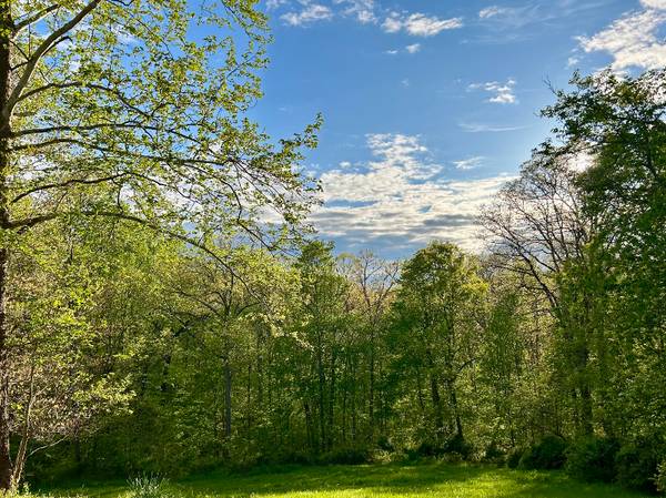 $1150.00 / 2br - STUNNING 2-BED/1-BATH APARTMENT IN NASHVILLE, IN | $1,150/MONTH - WON’63935966481154121