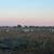 sheep 1 thumbnail