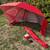 Sport-Brella Premiere XL UPF 50+ Umbrella Shelter, Red with Silver Interior 7 thumbnail