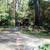 █►TREE CUTTING & LANDSCAPING SERVICE BY PEREZ◄█ 10 thumbnail