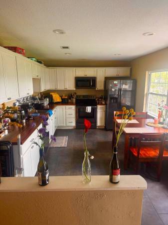 $530 / 1br - - Room for Rent Month to Month. Service PETS only! (Somerville, MA)63817540235265123