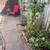 ADU w/private patio/yard Utilities/Internet  Included 1 thumbnail