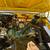 Mobile Mechanic, 7 days, older & newer vehicles Auto Repair 2 thumbnail