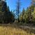 Rural Character 22 thumbnail