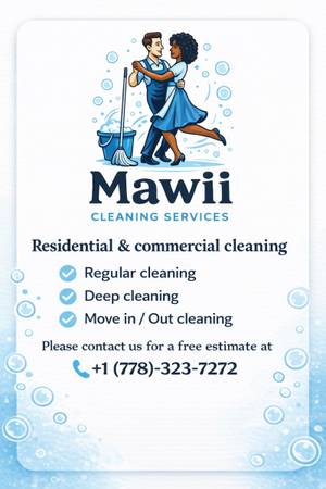 Professional cleaning 1