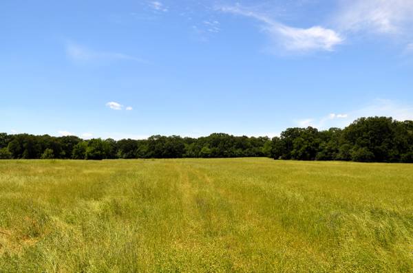 $995,000 FOR SALE: 0 CR 2854!! (Eustace)64037559624451120
