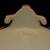 LIMOGES SWAN HANDLED JARDINIER BOWL 8 thumbnail