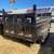 2025 Sure-Trac 7x14 14K Low Profile Telescopic Dump Trailer 3 thumbnail