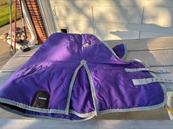 Purple winter horse blanket 1