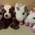 8.5" Plush Animal Brand New 1 thumbnail
