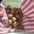 Hatching Button Quail Eggs 4 thumbnail