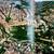"Vatican City" by Francesco Roncalli (NEW Paperback) 2 thumbnail