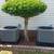 CARRIER or RHEEM Heating and Air Conditioning Equipment**INSTALLED** 8 thumbnail