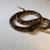 California Kingsnake Adult Male 3 thumbnail