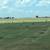 Native Grass Hay 2 thumbnail