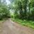 80 Acres – Secluded Land with Trees & Pond – AR Owner Financing 3 thumbnail
