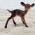 /// VTG HARD PLASTIC DEER DOE BAMBI \\\ 3 thumbnail