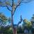Trees cutting n virginia 2 thumbnail