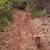 Great Vacation or Retirement Paynes Creek Property - OWC w/$2000 Down 3 thumbnail