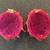 Large Fully Rooted Potted Red/Magenta/Purple Dragon Fruit Plant 2 thumbnail